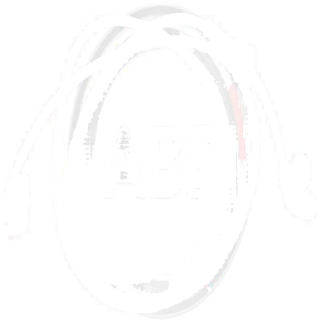 Abs Wheel Speed Sensor 30233 for Volvo