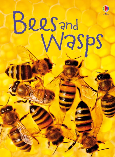 Bees & Wasps (Usborne Beginners)-James Maclaine,John Francis - Image 3