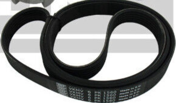 V-Ribbed Belt Set SKF VKMA 33101 Fits Citroen Peugeot 206 Berlingo Berlingo