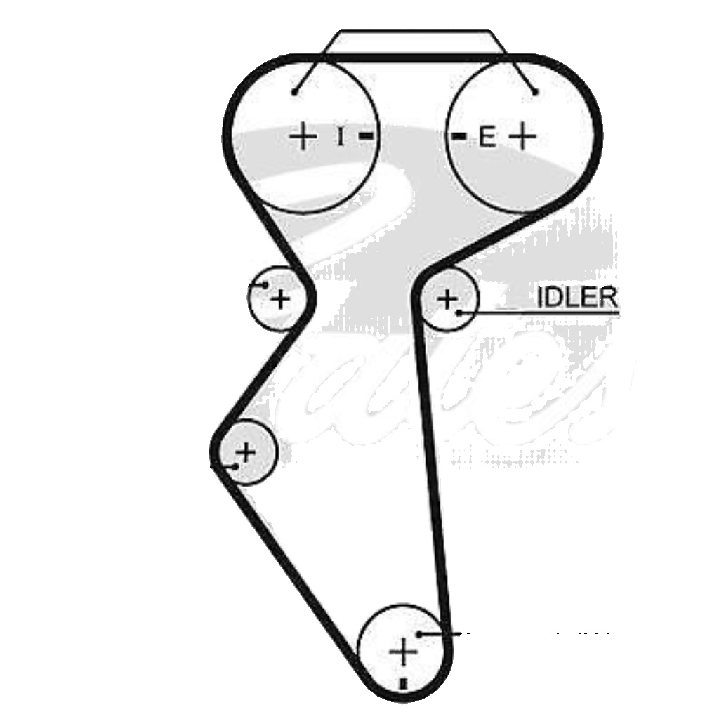 Timing belt 5419XS GATES for DAEWOO CHEVROLET