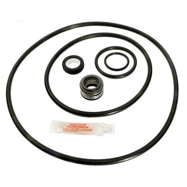 Aladdin GOKIT79 Sta Rite Max E-Pro Go Kit