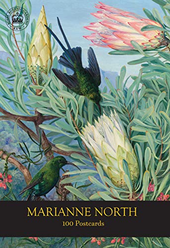 Marianne North 100 Postcards by  RBG Kew - 9781842466841