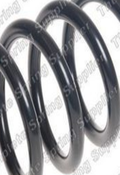 Suspension Coil Spring Rear Long Life High Quality Fits Renault Clio ROC CS8357 - Image 15