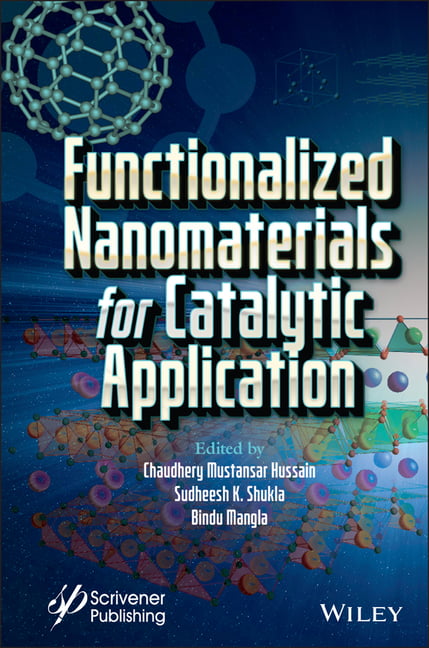 Functionalized Nanomaterials for Catalytic Application Hussain Hardback