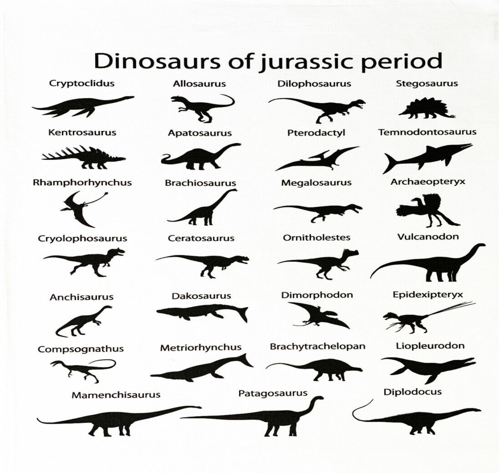 Dinosaurs large cotton tea towel  Jurassic Period machine washable