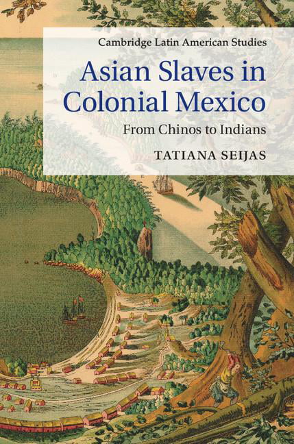 Asian Slaves in Colonial Mexico From Chinos to Indians Seijas Hardback