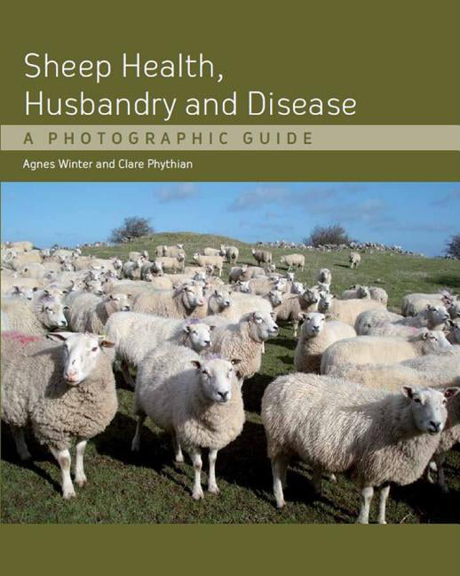 Sheep Health Husbandry and Disease by Agnes C Winter B.VSc PhD (HB 2011) - Image 3