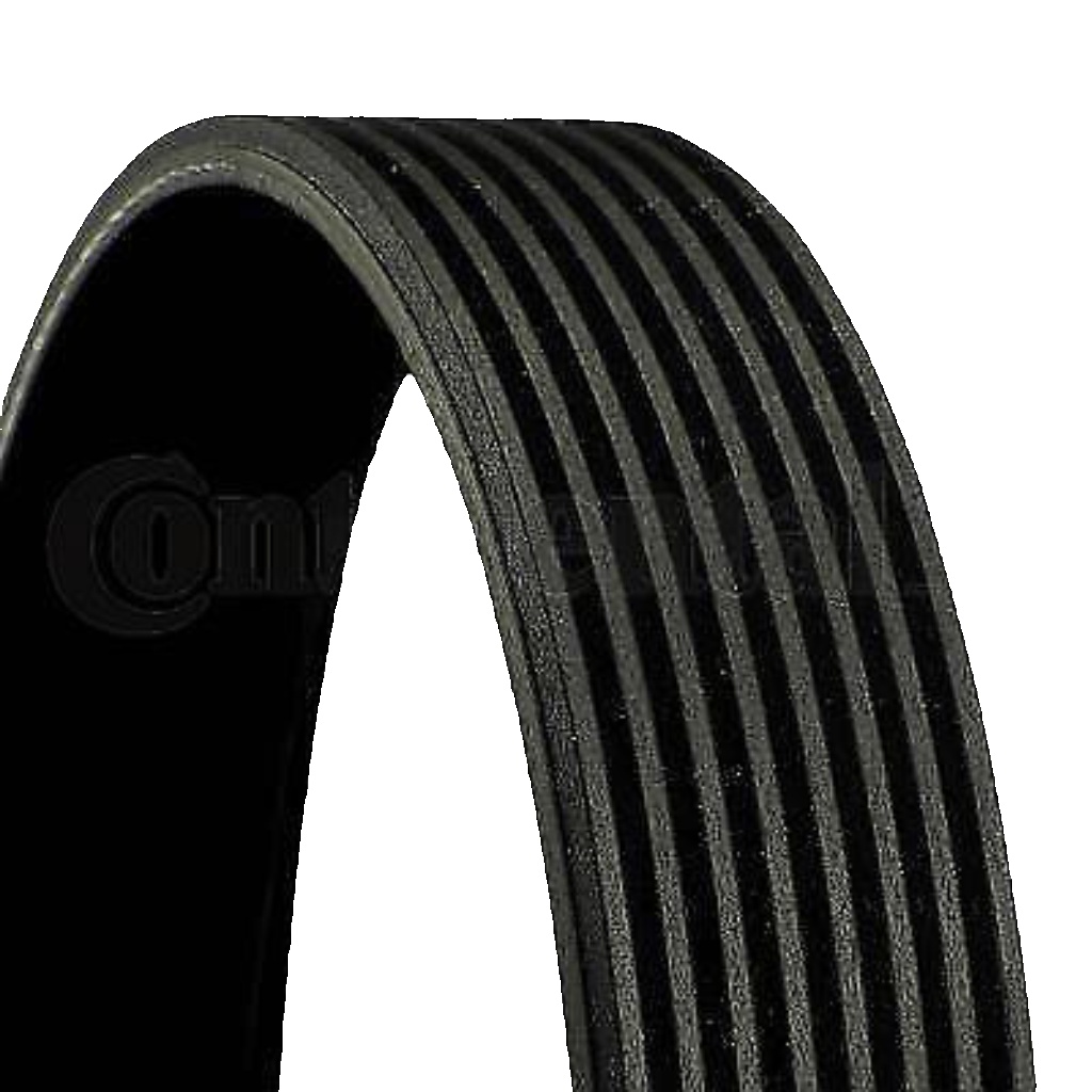 8PK1247 CONTINENTAL CTAM V-Ribbed Belt for MERCEDES-BENZ