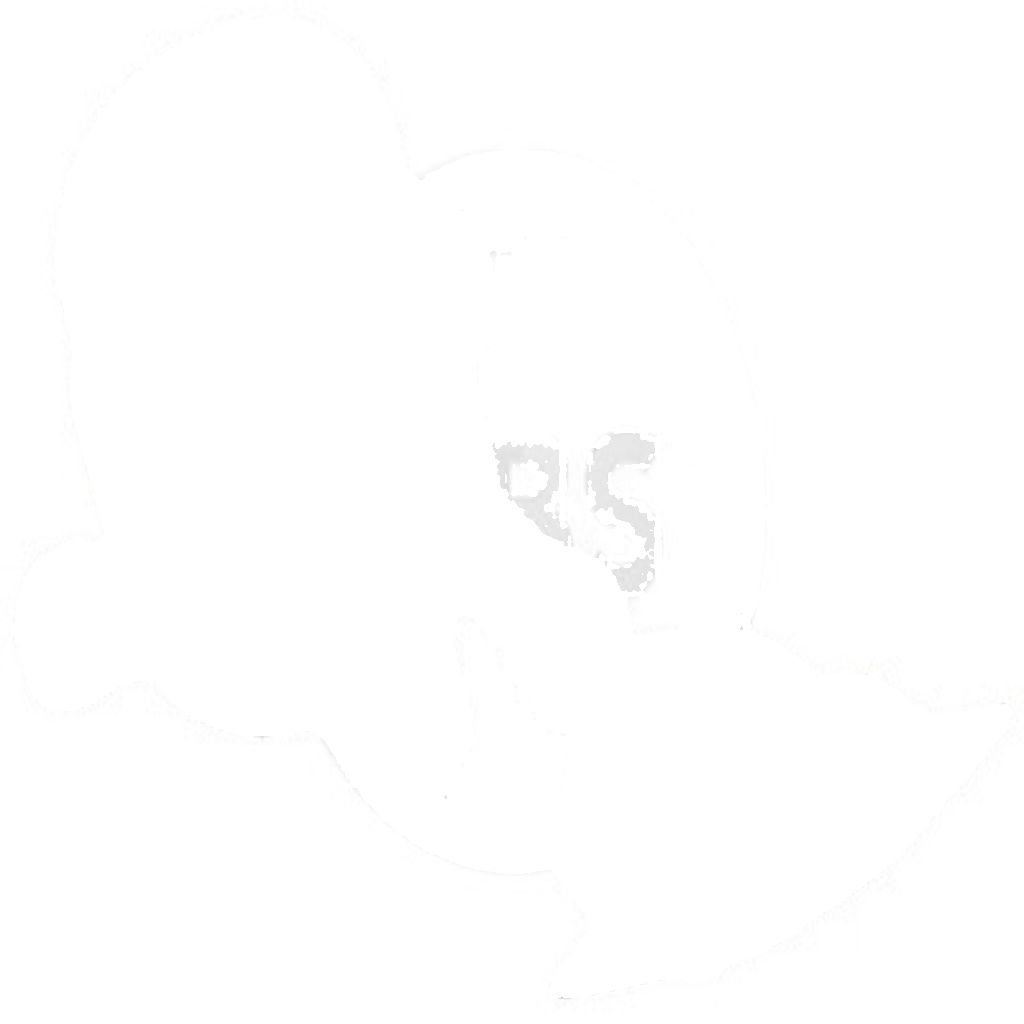 51743 A.B.S. Central Slave Cylinder, clutch for CITROËN,PEUGEOT