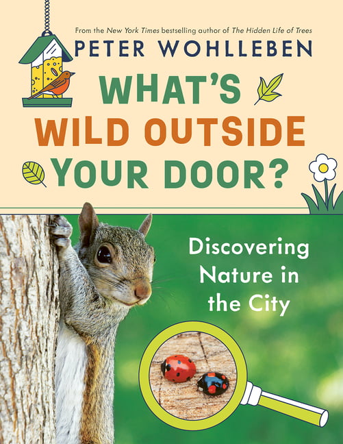What's Wild Outside Your Door?: Discovering Nature in the City - Image 3