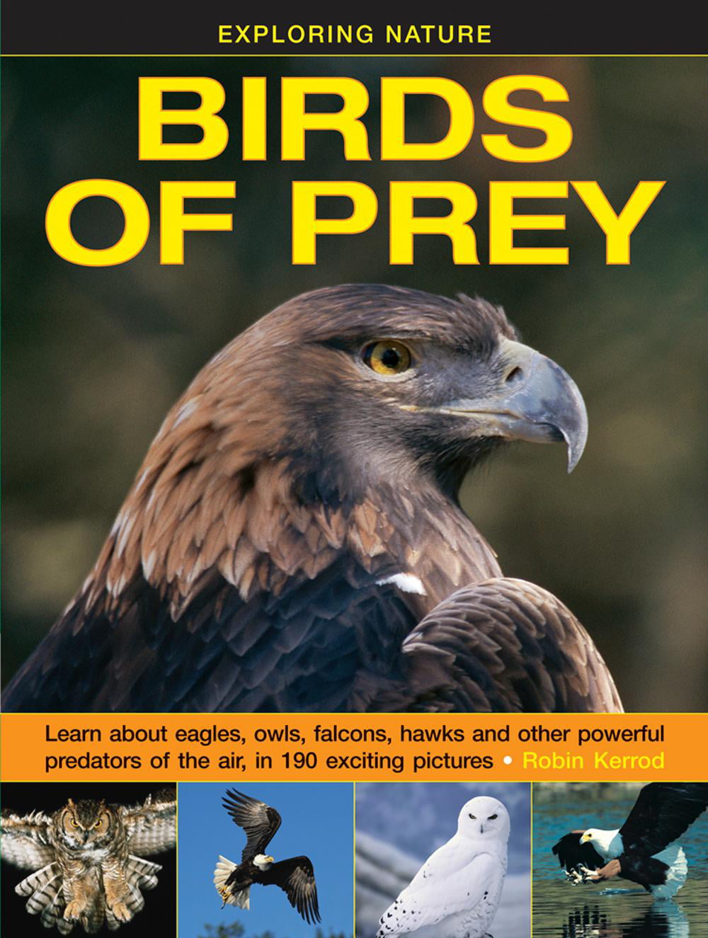 Exploring Nature: Birds of Prey by Kerrod Robin NEW - Image 8