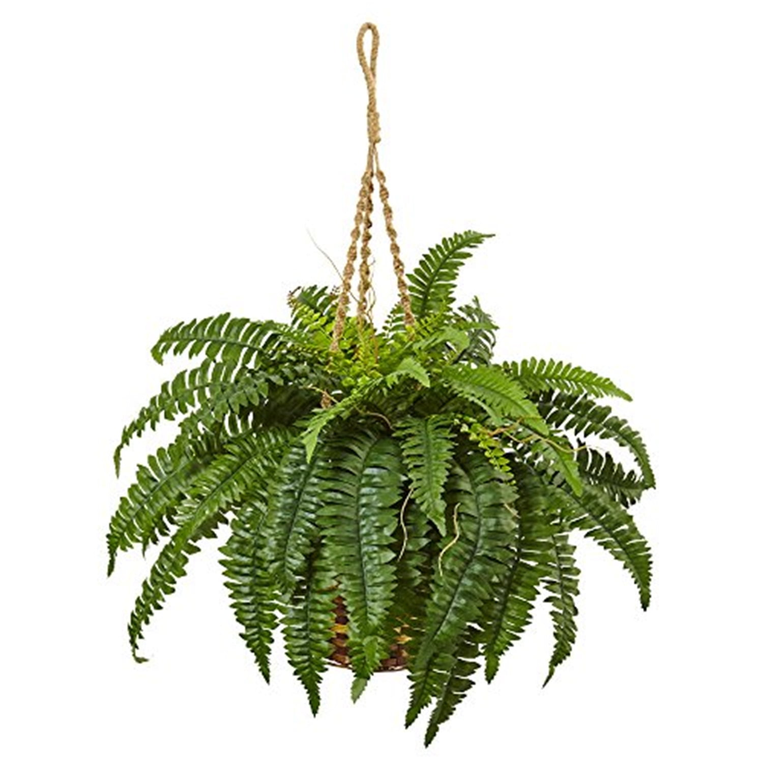 Nearly Natural Boston Fern Hanging Basket