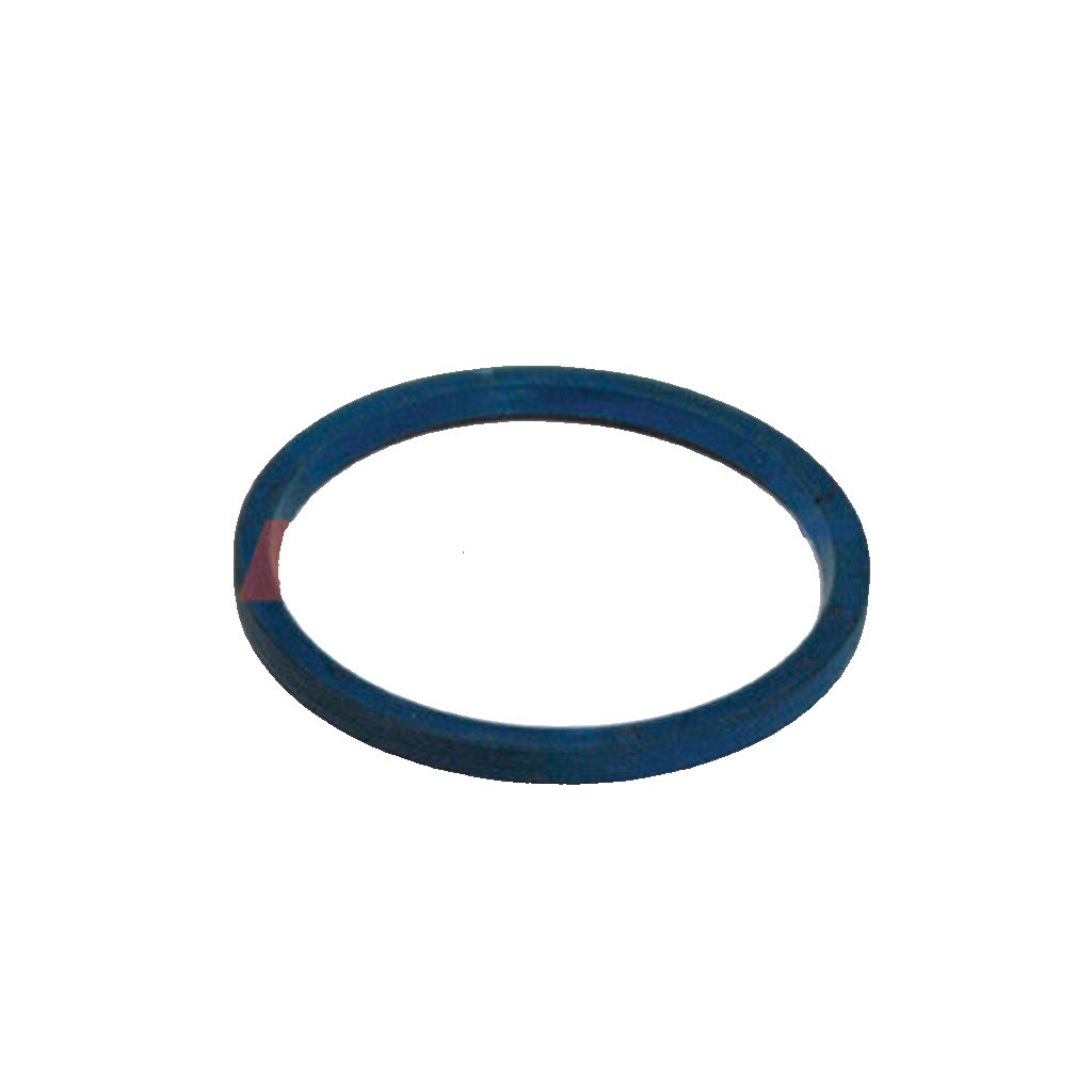 AUGER 54879 Seal Ring, steering knuckle for RENAULT TRUCKS