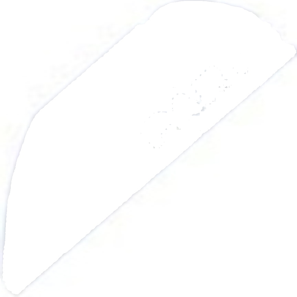 N.T.Y. ZPS-FR-029.NTY Engine Mounting for MAZDA