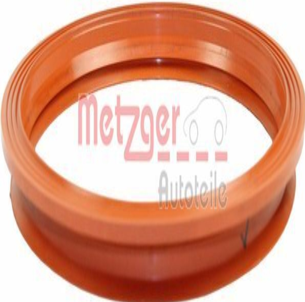 2250207 METZGER Seal, fuel sender unit for ,AUDI,CUPRA,SEAT,SKODA,VW