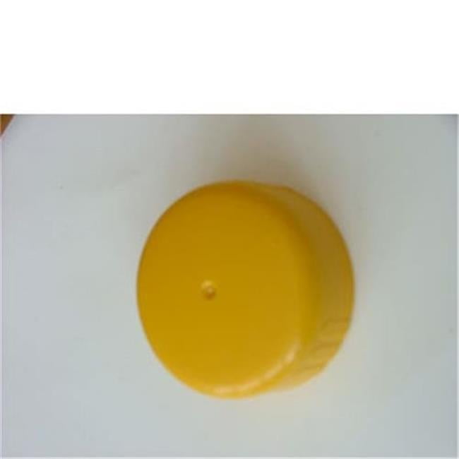 THETFORD CASSETTE TOILET CAP WATERFILLER CAP 1684816 - Image 3