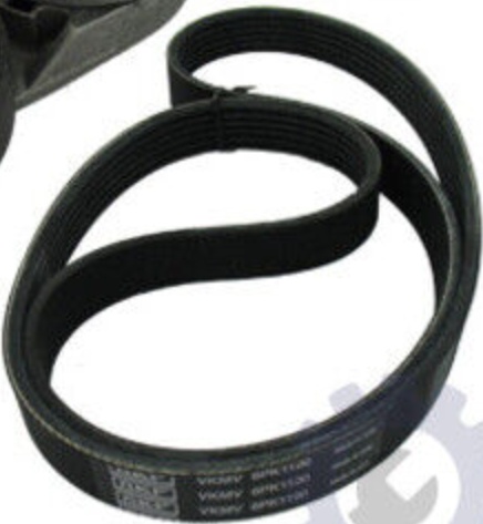 V-Ribbed Belt Set SKF VKMA 31008 Fits Audi Seat Skoda VW A3 Bora Golf Golf Van