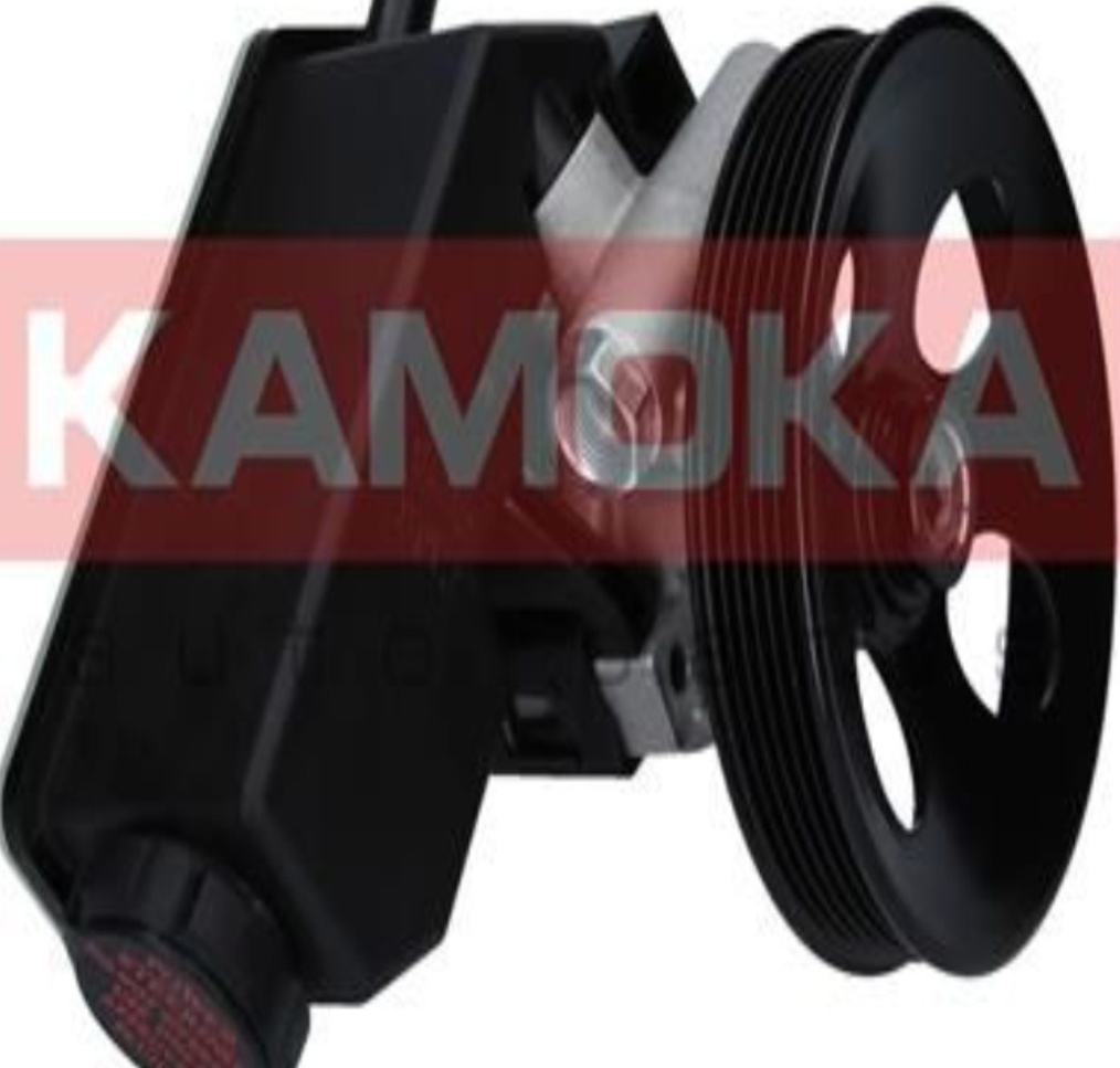 Fits KAMOKA PP161 HYDRAULIC BOOSTER PUMP   ⭐UK Stock⭐