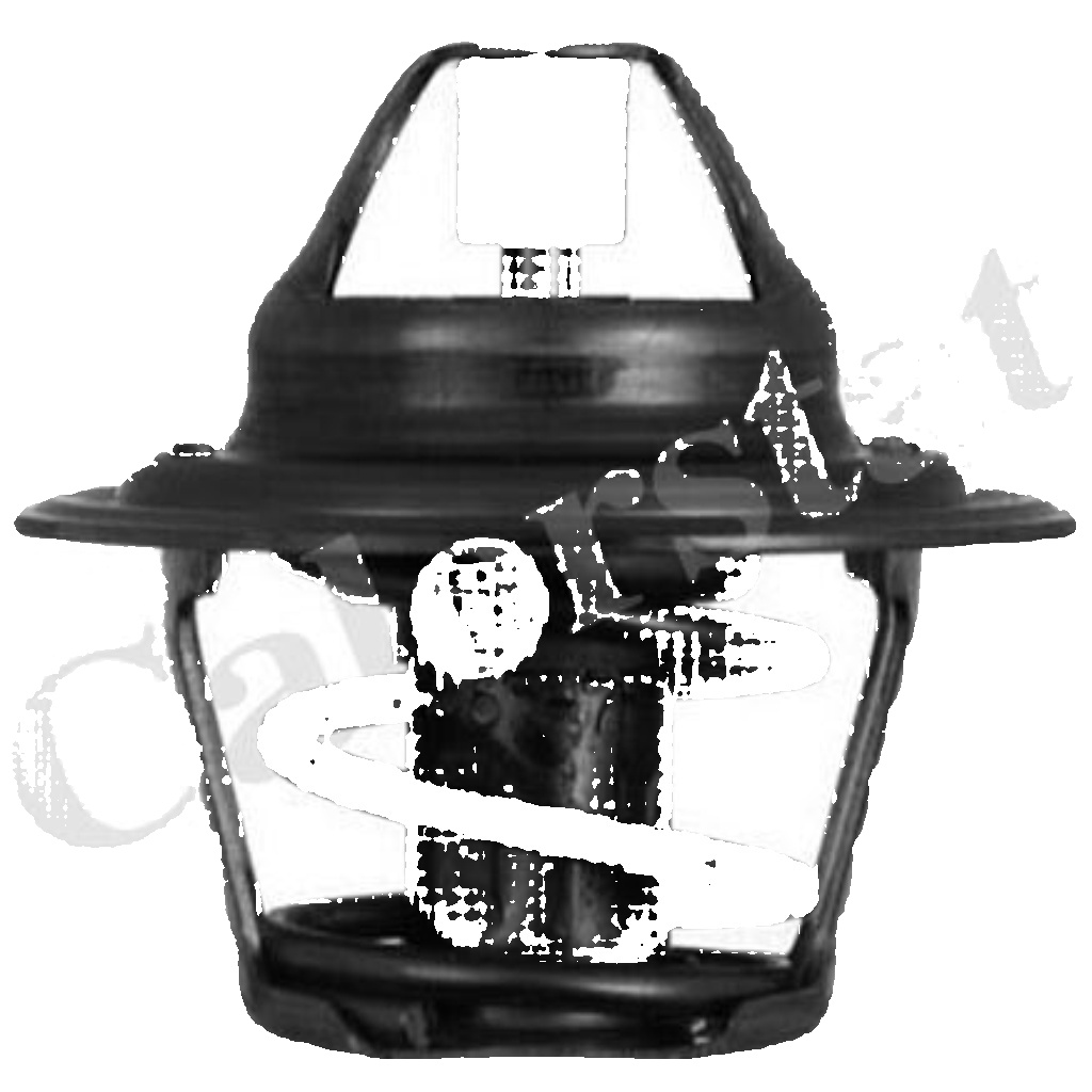 CALORSTAT by Vernet TH1410.80J Thermostat, coolant