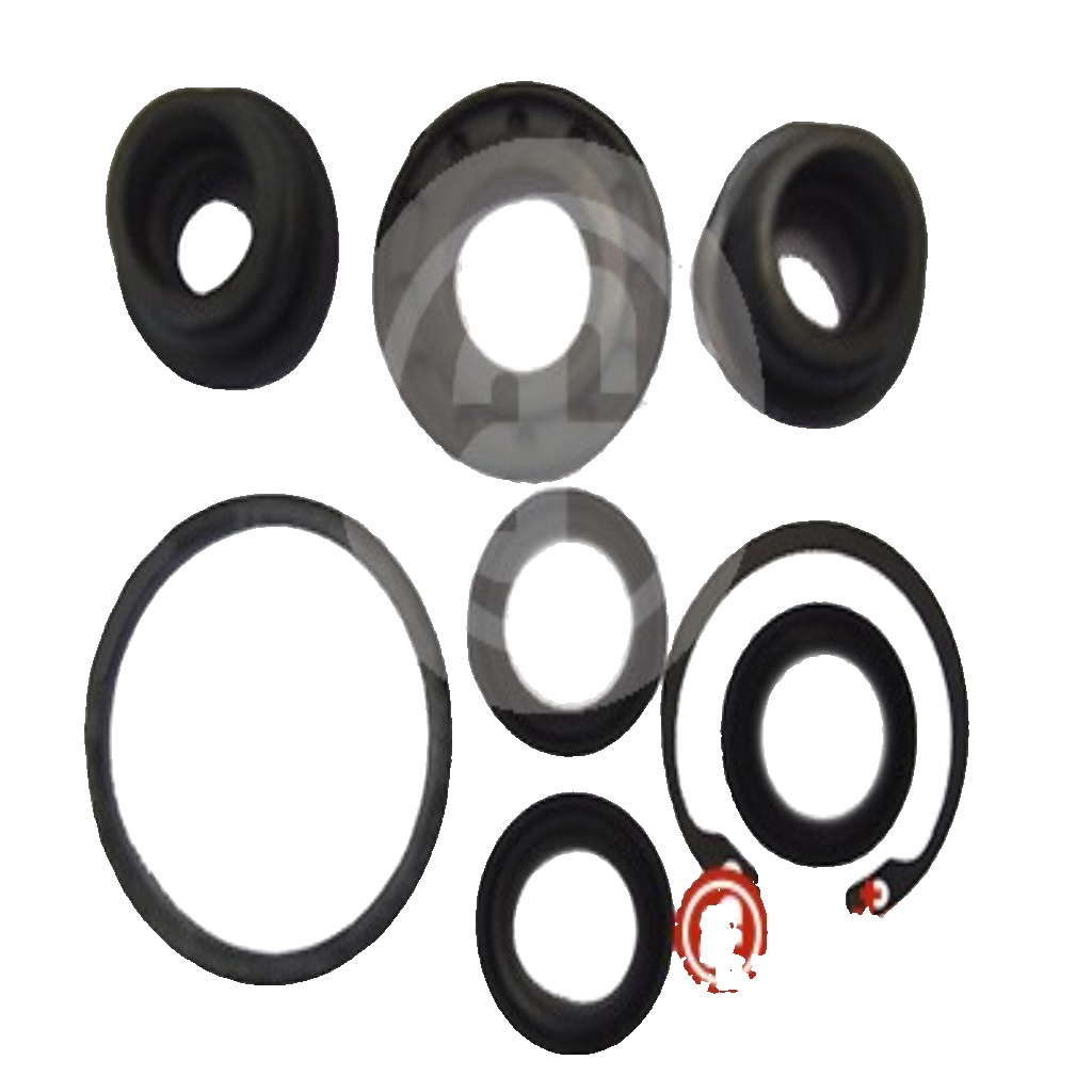 Fits AUTOFREN SEINSA D1837 PUMP REPAIR   ⭐UK Stock⭐