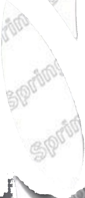 SUSPENSION SPRING 4085725 FOR SKODA VW PASSAT/ALLTRACK/Magotan CFGB/CBBB 2.0L