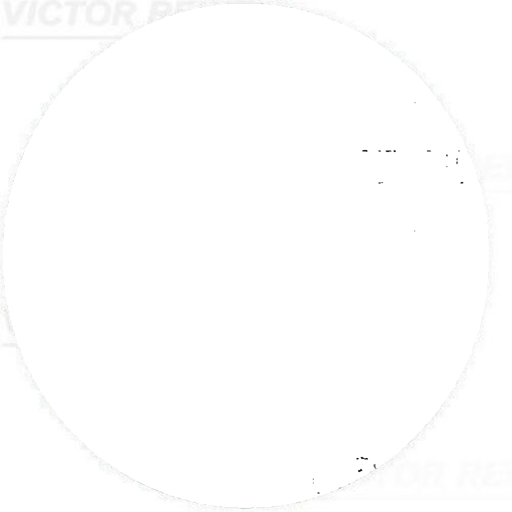 VICTOR REINZ 81-35072-00 Shaft Seal, camshaft