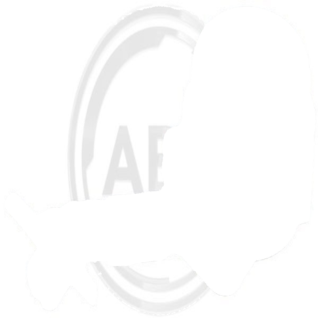 Original A.B.S. Central Clutch Release Bearing 41141 for Ford Volvo