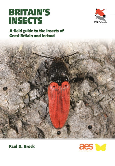 Britain's Insects: A Field Guide to the Insects of Great Britain and Ireland (WILDGuides) - Image 9