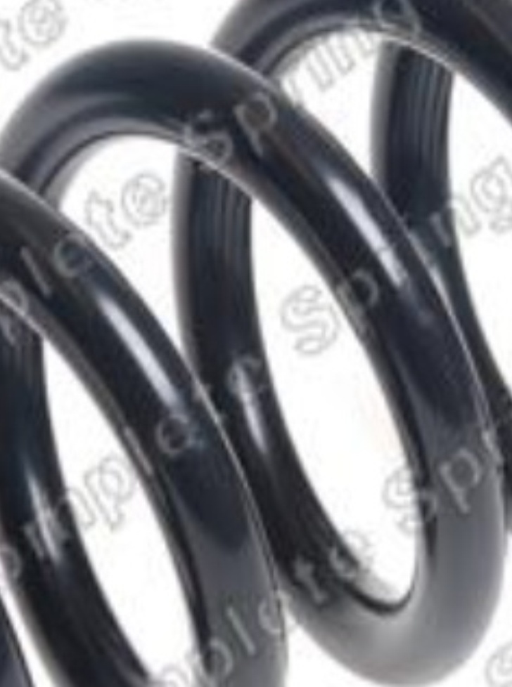 REAR COIL SPRING FOR MERCEDES BENZ SLK