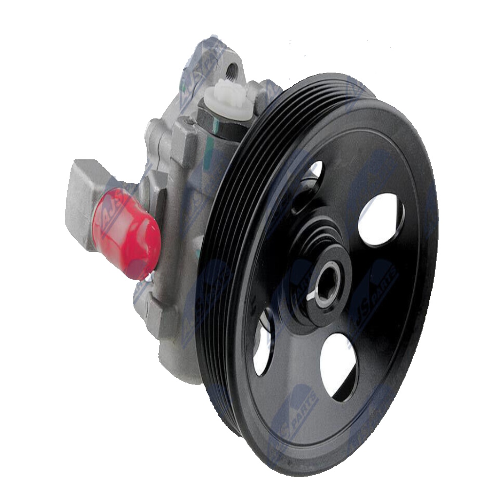 Power steering pump hydraulic with multi-belt pulley SPW-ME-031 NTY