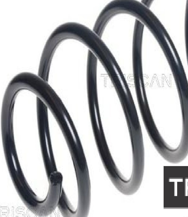 Front LESJÖFORS 4027667 Suspension Spring for FORD