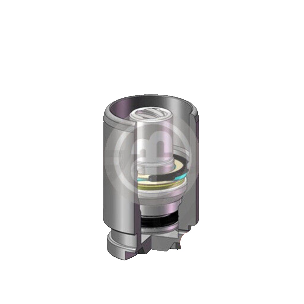 AUTOFREN SEINSA D025116K Piston, brake caliper for NISSAN