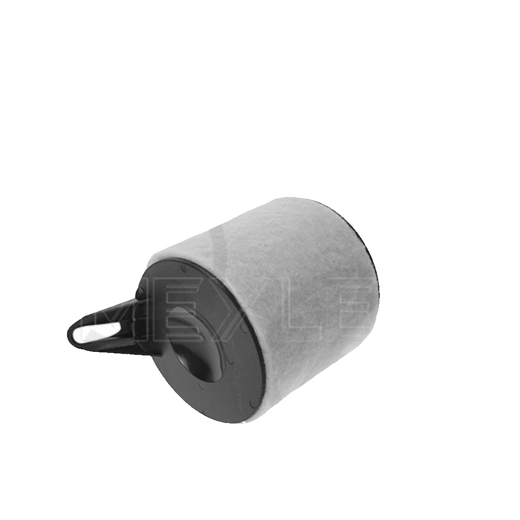 MEYLE 312 321 0004 Air Filter for BMW