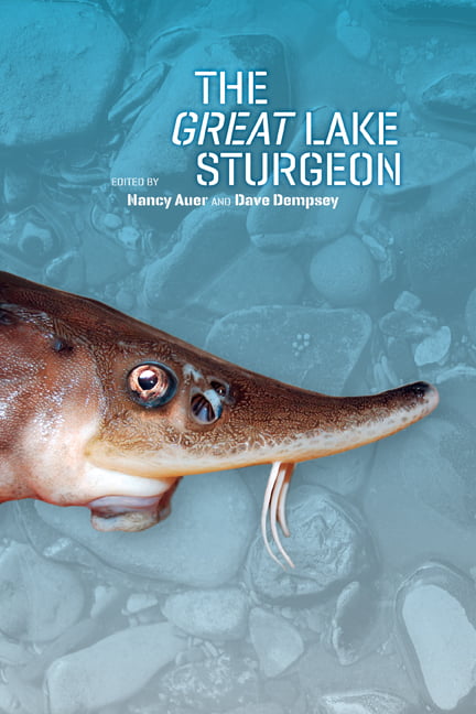 The Great Lake Sturgeon Auer Dempsey Paperback 9781611860788