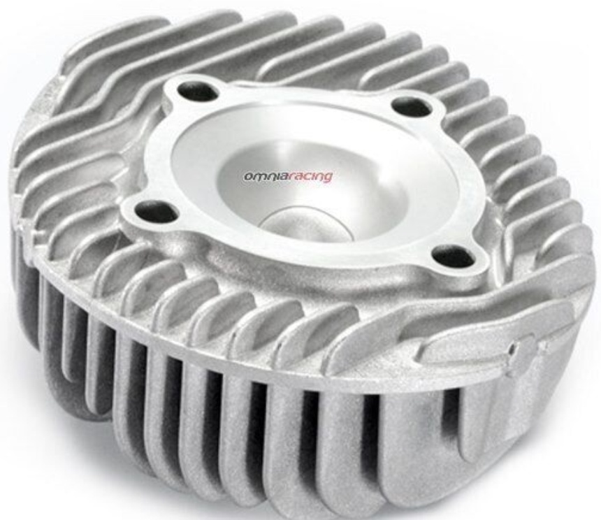 Polini Head Vespa P200E 211.0014 For Motorcycle Parts Accessories Pieces