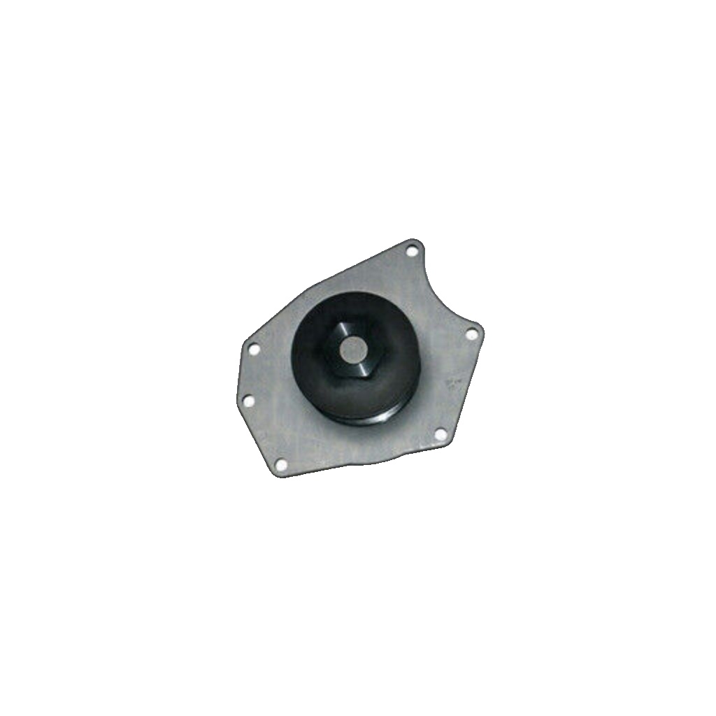 Magneti Marelli Water Pump 352316170101
