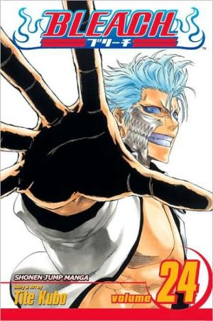 Bleach, Vol. 24 Volume 24