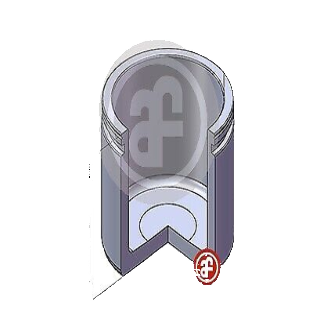 Fits AUTOFREN SEINSA D02565 CALIPER PISTON DIA.54  ⭐UK Stock⭐