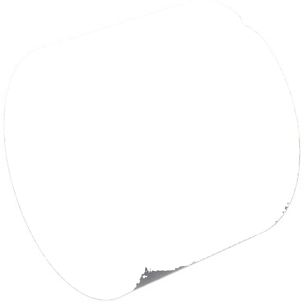 FEBI 105899 BUSH DRIVER CAB SUSPENSION