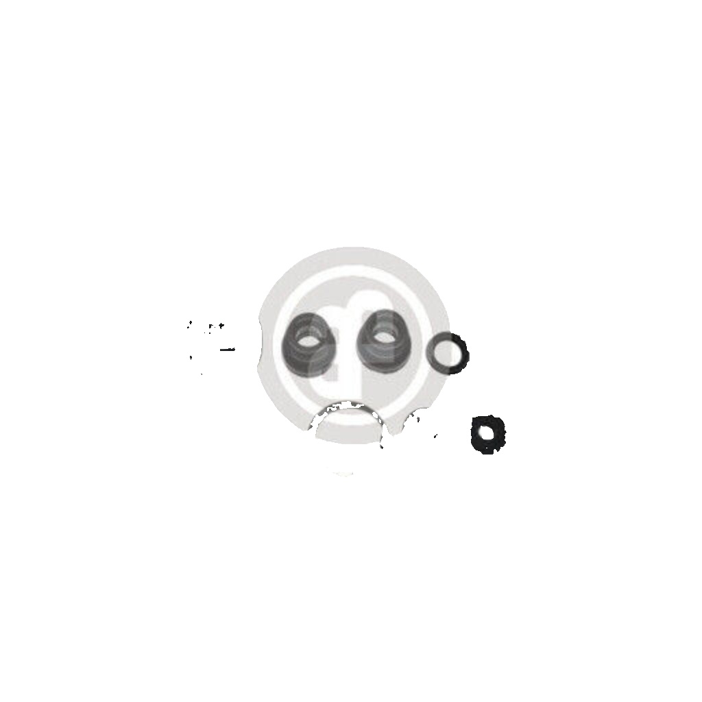 AUTOFREN SEINSA D1742 Repair Kit, brake master cylinder for DAEWOO