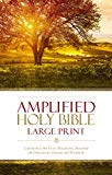 Amplified Holy Bible, Large Print, Hardcover by  Zondervan Pu... - 9780310444039
