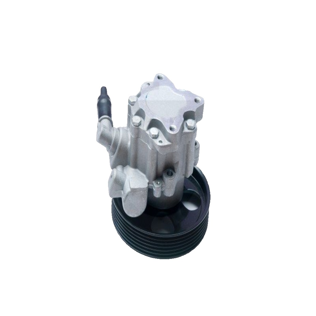Power steering pump hydraulic with belt pulley 10SKV073 ESEN SKV for FIAT