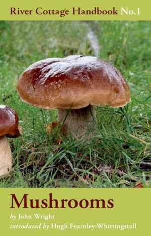 Mushrooms: River Cottage Handbook No.1 - Image 8
