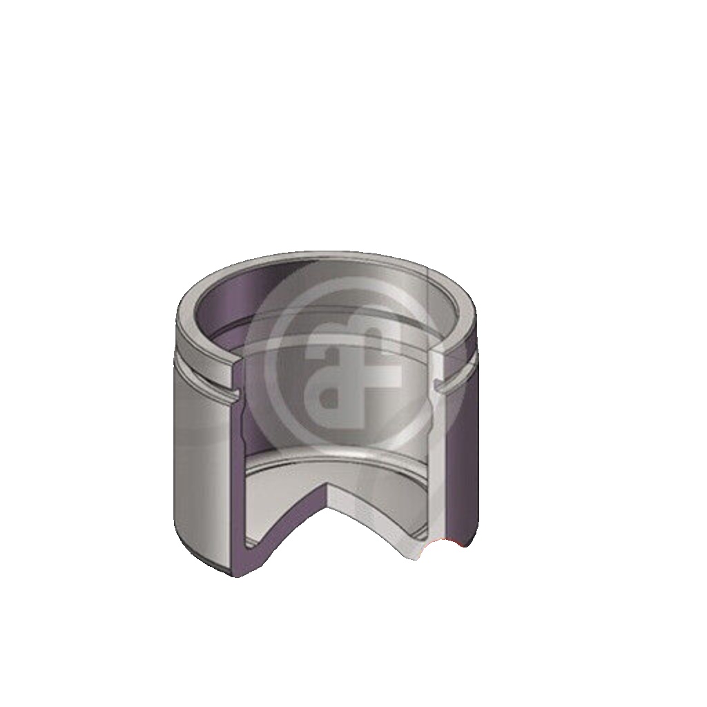 Fits AUTOFREN SEINSA D025598 PISTON   ⭐UK Stock⭐