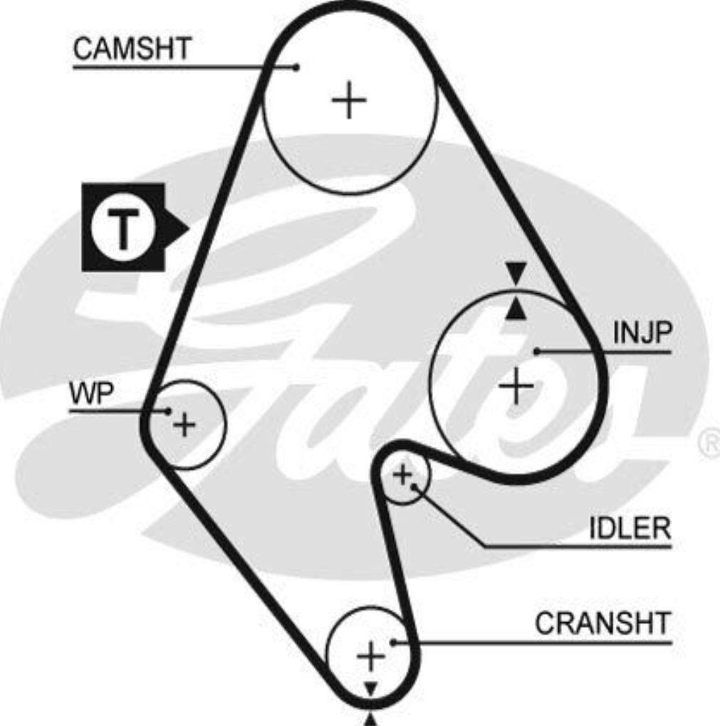 Gates 5129 Timing Belt - Image 16