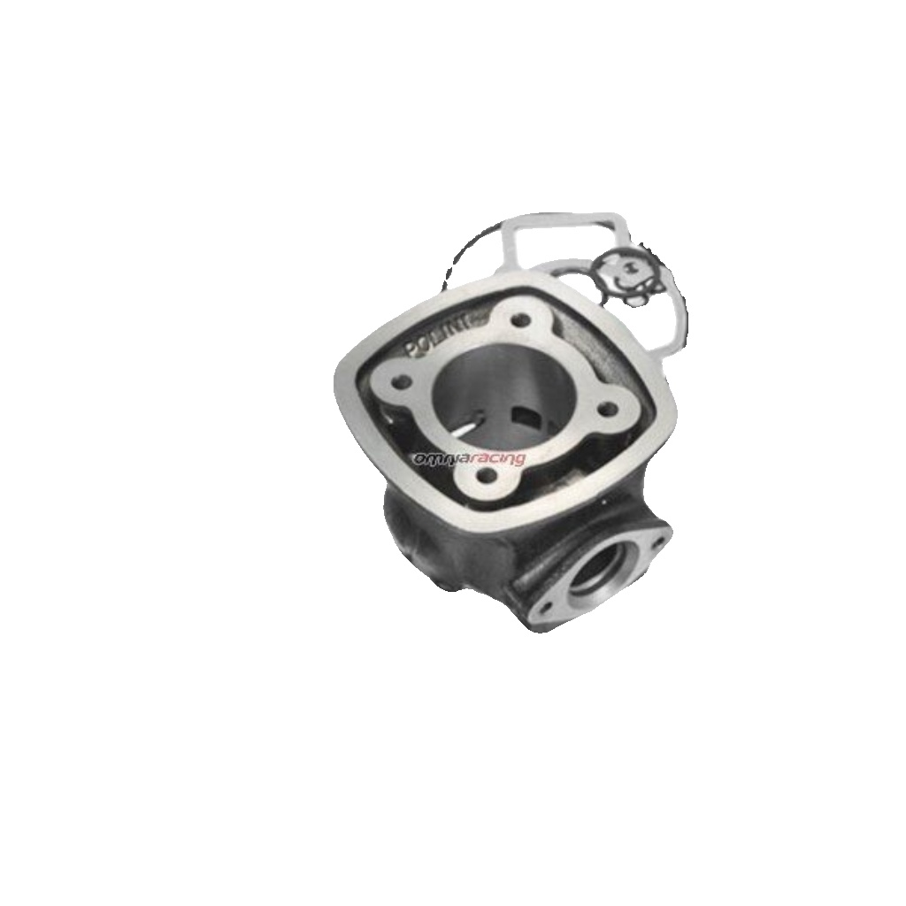 Free Shipping Polini Kit Piaggio Quartz-NRG D.47 H20 (1400183) For Motorcycle