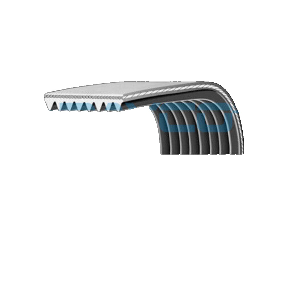 8PK1435HD DAYCO V-Ribbed Belt for RENAULT TRUCKS,VOLVO