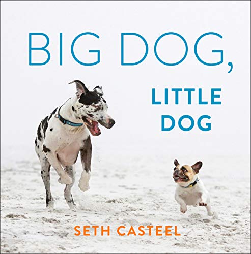 Big Dog, Little Dog Small