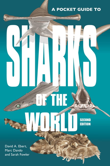 A Pocket Guide to Sharks of the World by David A. Ebert, Marc... - - Image 8