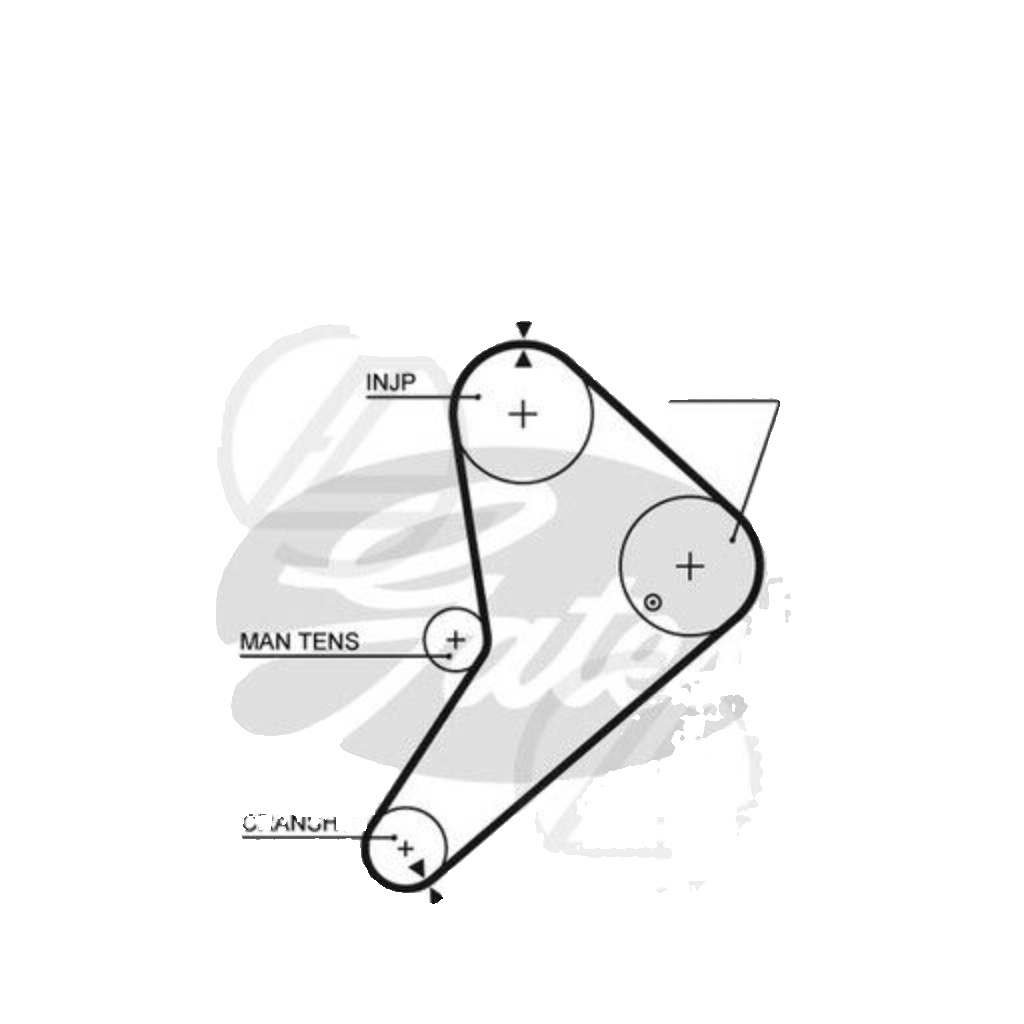 Gates 5021 Timing Belt - Image 6